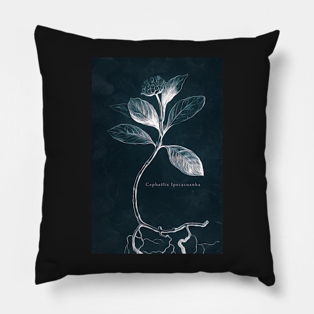 Cyanotype - Cephaelis Ipecacuanha - C Pillow by PixelHunter