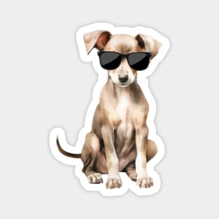 Greyhound Puppy Wearing Sunglasses Magnet