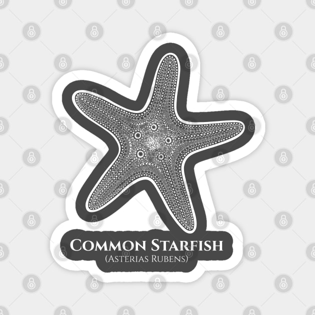 Common Starfish with Common and Latin Names - animal drawing Magnet by Green Paladin