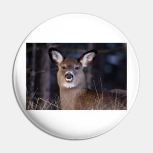 White-tailed Deer Pin