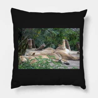 A Lion in London Pillow
