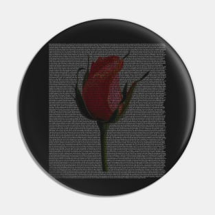 Beauty and the Beast Full Text with Rose Pin