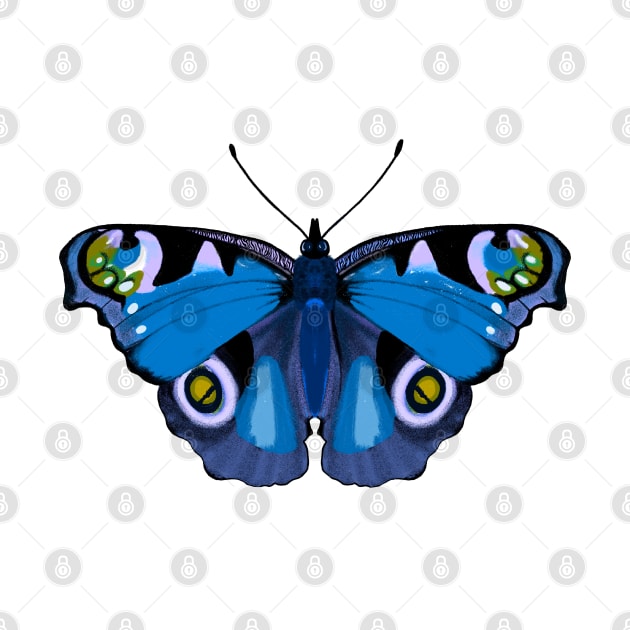 PEACOCK BUTTERFLY by tizicav