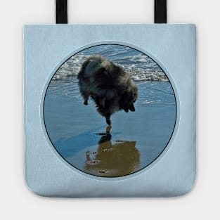 Keeshond Ballet Tote