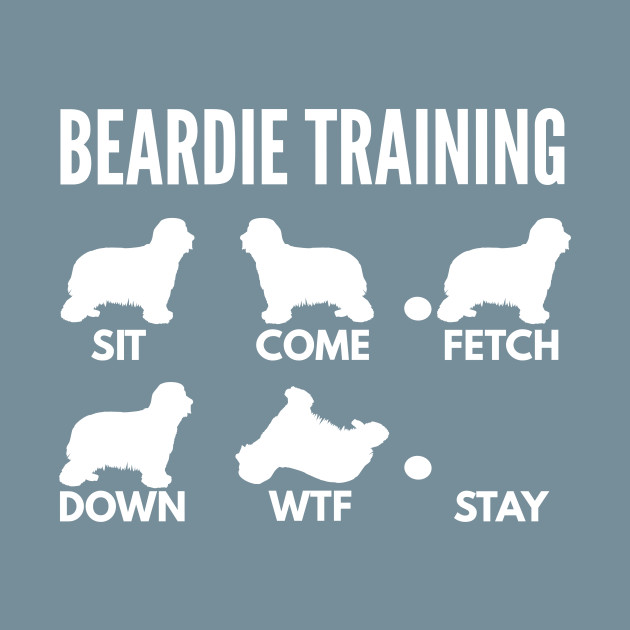 Disover Beardie Training Bearded Collie Tricks - Bearded Collie - T-Shirt