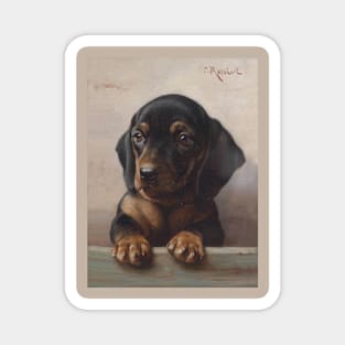 Young Dachshund by Carl Reichert Magnet