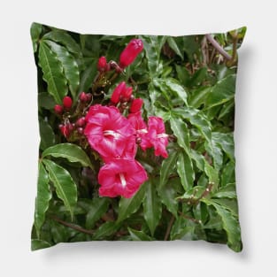 Flowers, plant photography, green leaves cute floral Pillow