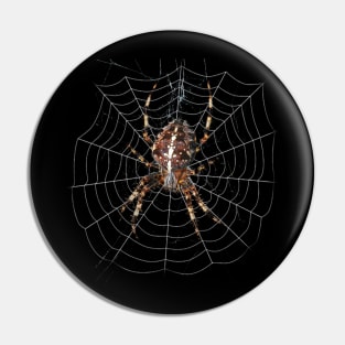 spider Pin