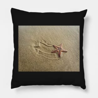 Shooting Sea Star Pillow