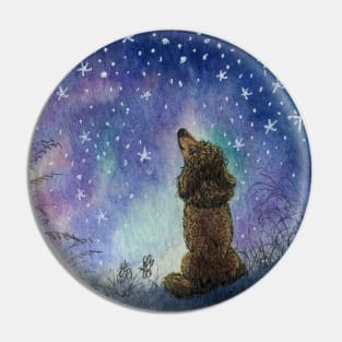 Poodle dog gazing at starry night sky, looking for inspiration Pin