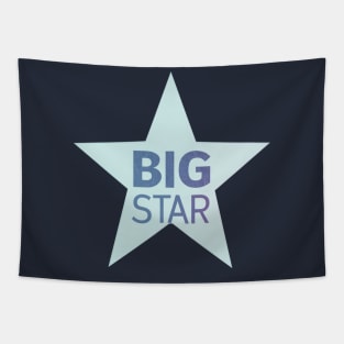 Big Star #1 Record Tapestry