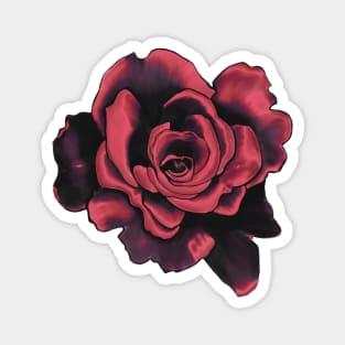 Romantic Red Rose Drawing Magnet