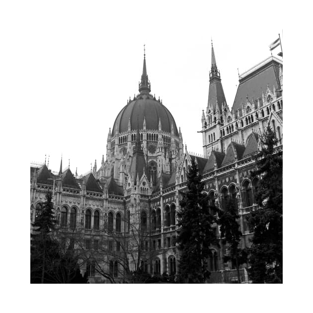 Parliament Building (Országház), Budapest by rodneyj46