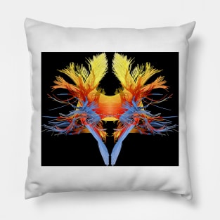 White matter fibres of the human brain (C018/6391) Pillow