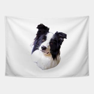 Border Collie Beautiful Dog Breed Tapestry