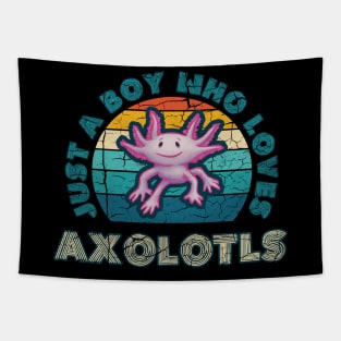 Just a Boy who Loves Axolotls Tapestry