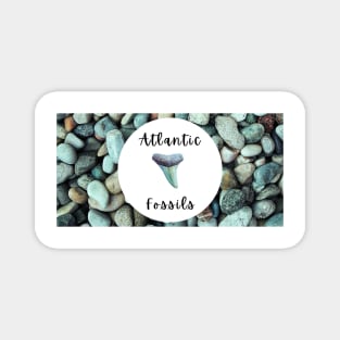 River Rocks Nautical Light Blue Atlantic Fossils Shark Tooth Print Magnet