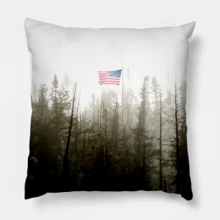 This Flag Flies Free Pillow