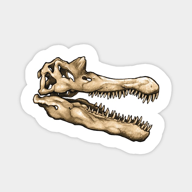 Dinosaur Skull Spinosaurus Sticker Magnet by CassWArt