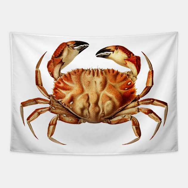 CRAB Tapestry by GoshaDron