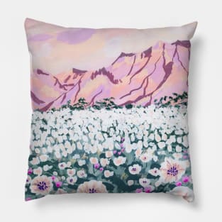 Pink Desert Pillow