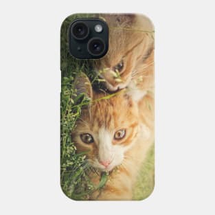 orange kittens playing together Phone Case