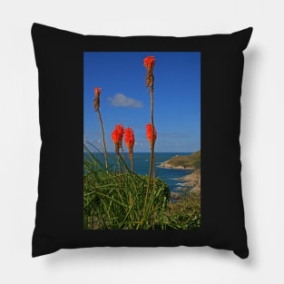 North Devon Coast Pillow