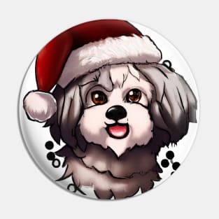 Cute Havanese Drawing Pin