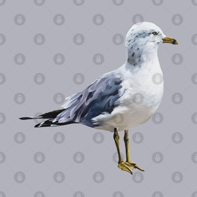 Ring Billed Gull painting (no background) by EmilyBickell