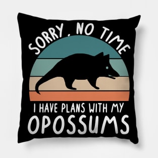 No time camping plans with possum lovers Pillow