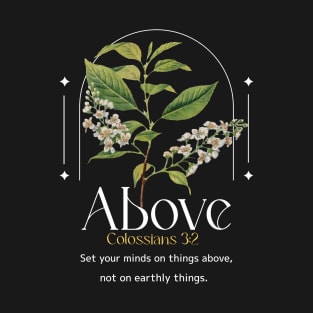 Above.  Colossians 3:2 T-Shirt