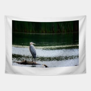 Heron with Ruffled Feathers Tapestry