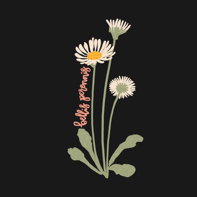 Daisy Flower Illustration With Latin Name Bellis Perennis by MissCassieBee
