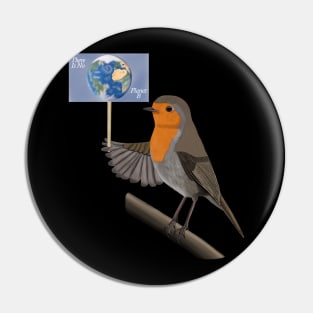 There Is No Planet B Bird Illustration Pin