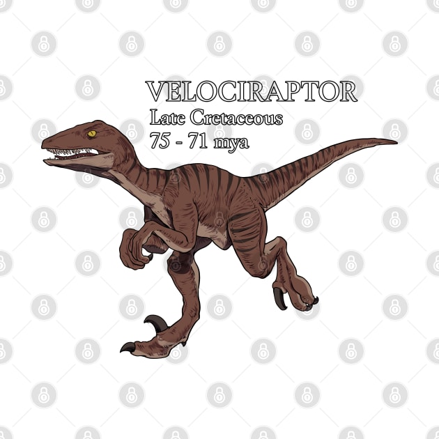 Realistic drawing of velociraptor by Modern Medieval Design