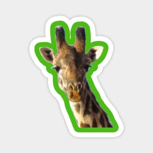 Giraffe Portrait Magnet