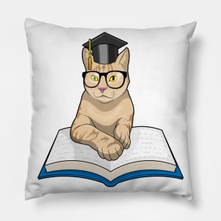 Cat Professor Book Glasses Pillow