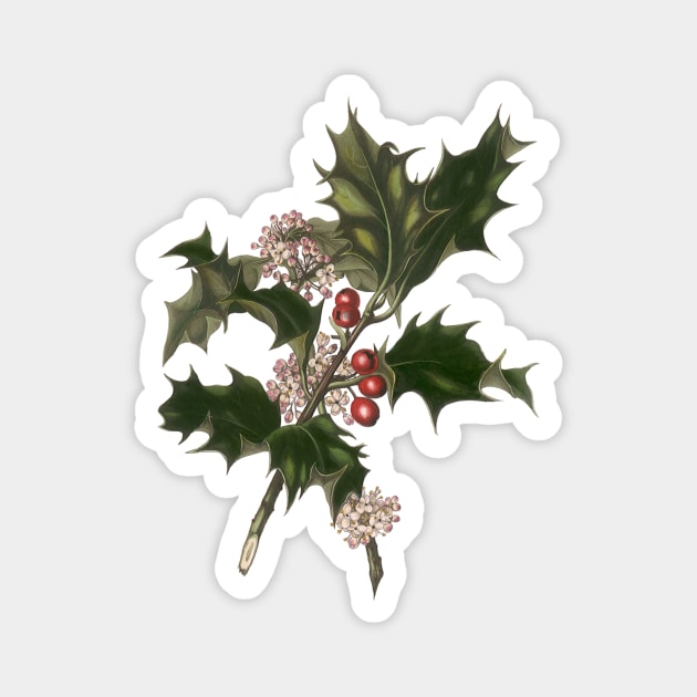 Vintage Christmas Holly Branch Magnet by MasterpieceCafe