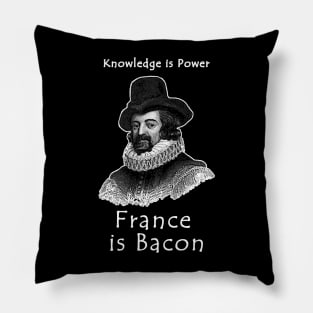 France is Bacon Pillow