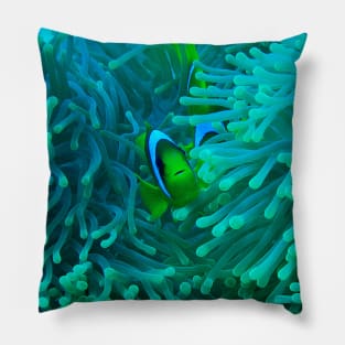 Sea Anemone and Fish Pillow