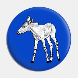 Somali wild ass foal - ink illustration Pin