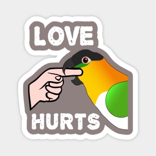 Black Headed Caique Parrot - Love Hurts Biting Magnet