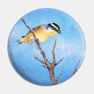 Pardon Me, Mr. Pardalote (Striated Pardalote) Pin