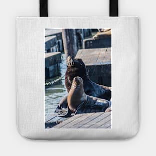 Male And Female Sea Lion Tote