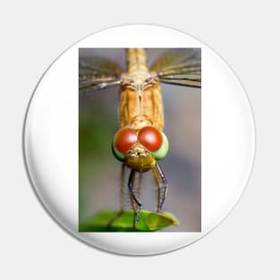 Unique and organic photo of a Dragonfly Pin