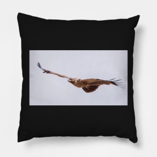 Martial Eagle Pillow