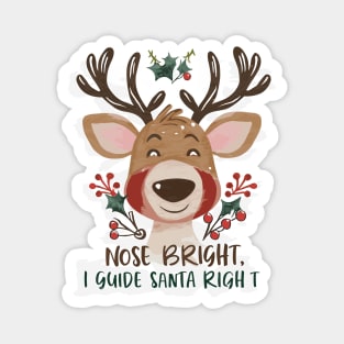 Guiding Light: Rudolph Magnet