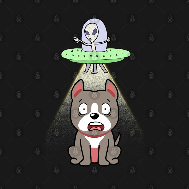 Cute grey dog is abducted by aliens by Pet Station