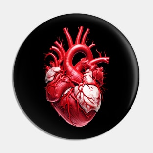 Human Heart Anatomy Biology Pin