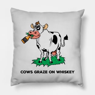 COWS Graze on Whiskey Pillow